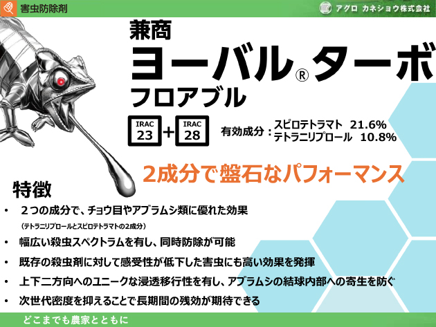 ���[�o��